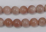 CMS754 15.5 inches 10mm round natural moonstone beads wholesale