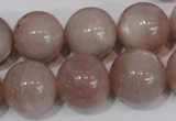 CMS759 15.5 inches 17mm round natural moonstone beads wholesale