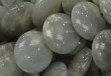 CMS79 15.5 inches 20mm flat round moonstone gemstone beads