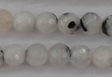 CMS801 15.5 inches 6mm faceted round white moonstone beads