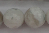 CMS805 15.5 inches 14mm faceted round white moonstone beads