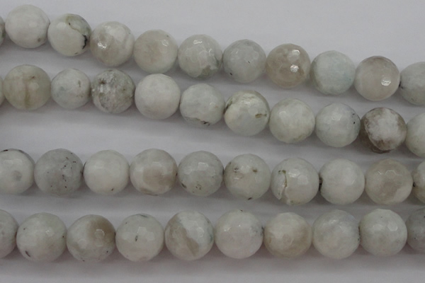 CMS805 15.5 inches 14mm faceted round white moonstone beads