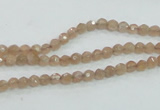 CMS81 15.5 inches 4mm faceted round moonstone gemstone beads