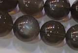 CMS855 15.5 inches 14mm round natural black moonstone beads