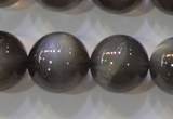 CMS861 15.5 inches 12mm round A grade natural black moonstone beads