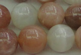 CMS895 15.5 inches 14mm round moonstone gemstone beads wholesale