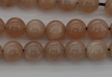 CMS931 15.5 inches 6mm round A grade moonstone gemstone beads