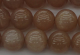 CMS933 15.5 inches 10mm round A grade moonstone gemstone beads