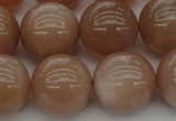 CMS935 15.5 inches 14mm round A grade moonstone gemstone beads