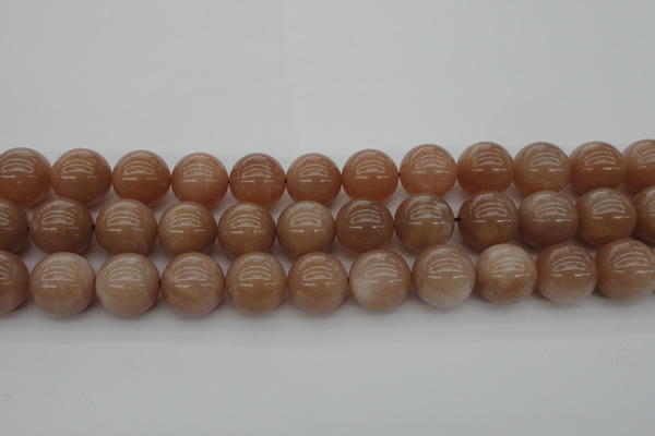 CMS935 15.5 inches 14mm round A grade moonstone gemstone beads