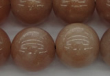 CMS936 15.5 inches 16mm round A grade moonstone gemstone beads