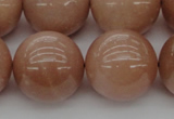 CMS937 15.5 inches 18mm round A grade moonstone gemstone beads