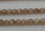 CMS940 15.5 inches 4mm faceted round A grade moonstone gemstone beads