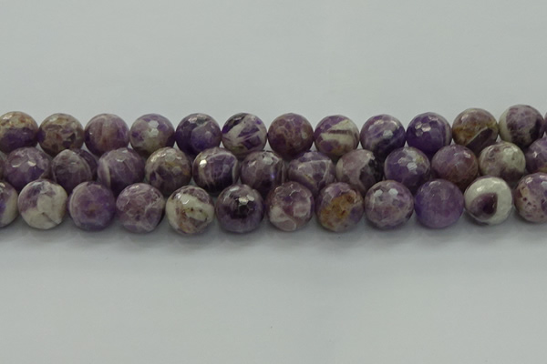 CNA1015 15.5 inches 14mm faceted round dogtooth amethyst beads