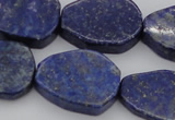 CNG1087 15.5 inches 20*25mm - 22*28mm freeform lapis lzuli beads