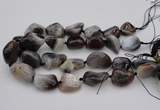 CNG1097 15.5 inches 18*25mm - 25*35mm nuggets botswana agate beads