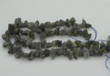 CNG1159 15.5 inches 8*12mm - 13*18mm nuggets labradorite beads