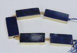 CNG2445 15.5 inches 20*40mm - 20*45mm freeform lapis lazuli beads