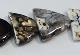 CNG2527 15.5 inches 15*20mm - 20*25mm triangle agate beads