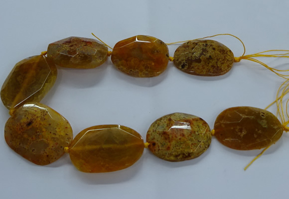 CNG2647 15.5 inches 30*38mm - 40*50mm freeform agate beads