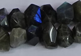 CNG2830 15.5 inches 10*14mm - 13*18mm faceted nuggets labradorite beads