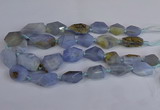 CNG2835 15.5 inches 12*16mm - 22*35mm nuggets blue lace agate beads