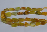 CNG2900 15.5 inches 12*16mm - 15*25mm freeform agate beads