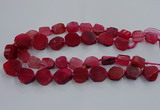 CNG2909 15.5 inches 12*16mm - 15*25mm freeform agate beads