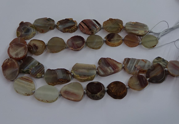 CNG2930 15.5 inches 18*25mm - 25*30mm freeform agate beads