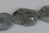 CNG302 15.5 inches 22*30mm faceted nuggets labradorite gemstone beads