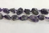 CNG3566 15.5 inches 18*20mm - 25*30mm nuggets rough amethyst beads