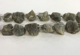 CNG3567 15.5 inches 18*20mm - 25*30mm nuggets rough labradorite beads