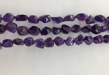 CNG3581 15.5 inches 8*10mm - 10*12mm nuggets amethyst beads