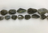 CNG3589 13*18mm - 15*30mm faceted nuggets labradorite beads