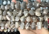 CNG3605 15.5 inches 13*20mm - 15*24mm faceted nuggets moonstone beads