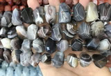 CNG3614 13*20mm - 15*24mm faceted nuggets Botswana agate beads