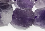 CNG3720 15.5 inches 10*14mm - 12*16mm nuggets rough amethyst beads