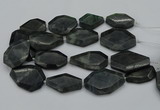 CNG5081 15.5 inches 20*30mm - 35*45mm freeform labradorite beads