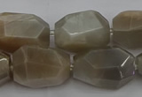 CNG5089 15.5 inches 13*18mm - 15*25mm faceted nuggets sunstone beads