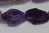 CNG5104 15.5 inches 14*20mm - 18*25mm freeform amethyst beads