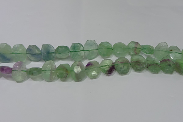 CNG5139 15.5 inches 15*18mm - 15*20mm faceted freeform fluorite beads