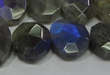 CNG5144 15.5 inches 15*18mm - 15*20mm faceted freeform labradorite beads