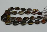 CNG5169 15.5 inches 16*22mm - 30*35mm freeform tiger iron beads