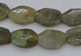 CNG5253 15.5 inches 13*18mm - 15*20mm faceted freeform labradorite beads