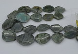 CNG5254 15.5 inches 22*30mm - 35*45mm faceted freeform labradorite beads