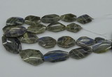 CNG5255 15.5 inches 22*30mm - 35*45mm faceted freeform labradorite beads