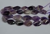 CNG5264 20*30mm - 22*35mm faceted freeform dogtooth amethyst beads