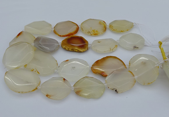 CNG5363 15.5 inches 20*30mm - 35*45mm faceted freeform agate beads