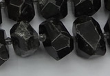 CNG5368 12*16mm - 15*20mm faceted nuggets black tourmaline beads