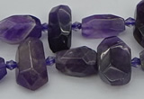 CNG5370 15.5 inches 10*15mm - 15*25mm faceted nuggets amethyst beads